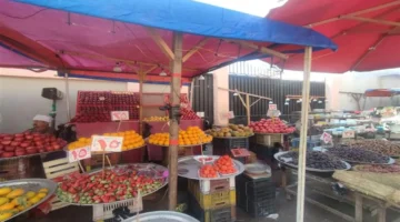 تخفيضات رمضان 25% في 5 أماكن لسوق اليوم الواحد بالقاهرة والجيزة